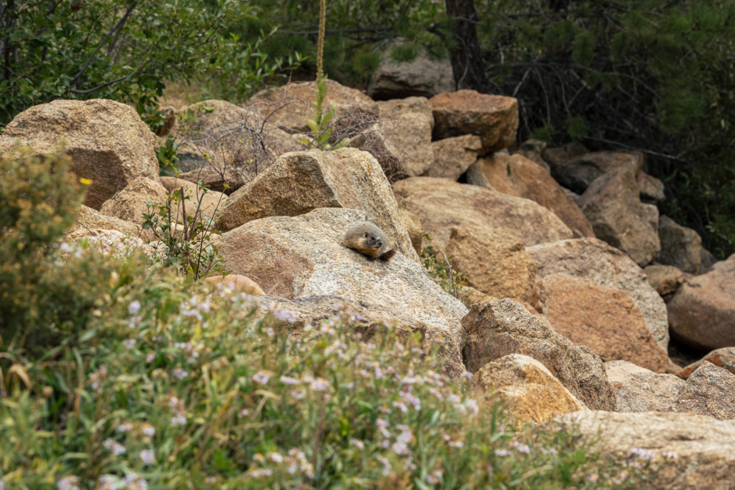 Bear Creek Two - Estes Park, Colorado.